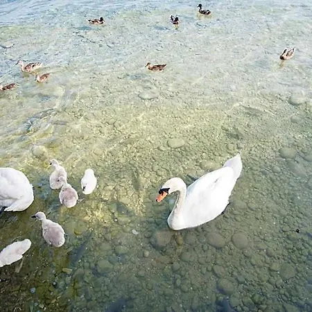 Gasparina Ξενοδοχείο Castelnuovo del Garda